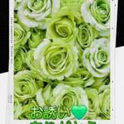 ヒメ日記 2026/01/09 14:10 投稿 シズカ 人妻生レンタル