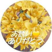 ヒメ日記 2026/02/12 10:20 投稿 シズカ 人妻生レンタル