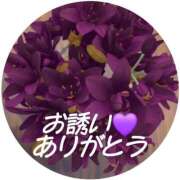 ヒメ日記 2026/02/13 12:20 投稿 シズカ 人妻生レンタル