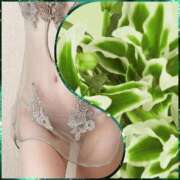 ヒメ日記 2026/02/22 23:10 投稿 シズカ 人妻生レンタル