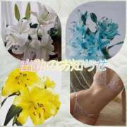 ヒメ日記 2026/02/25 12:50 投稿 シズカ 人妻生レンタル