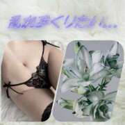 ヒメ日記 2026/02/26 11:50 投稿 シズカ 人妻生レンタル