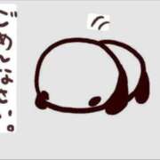 ヒメ日記 2026/04/17 09:20 投稿 シズカ 人妻生レンタル