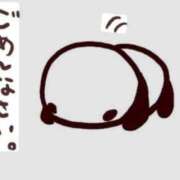 ヒメ日記 2026/04/30 09:06 投稿 シズカ 人妻生レンタル