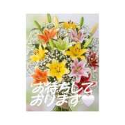 ヒメ日記 2026/05/19 09:20 投稿 シズカ 人妻生レンタル