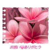 ヒメ日記 2026/08/20 10:20 投稿 シズカ 人妻生レンタルNTR