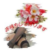 ヒメ日記 2026/08/25 09:20 投稿 シズカ 人妻生レンタルNTR