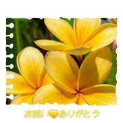 ヒメ日記 2026/08/25 18:14 投稿 シズカ 人妻生レンタルNTR