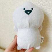 ヒメ日記 2025/07/11 19:24 投稿 【江國 ろあ】 梅田ムチSpa女学院