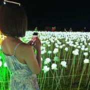 よしか 明日の話 横浜ハッピーマットパラダイス