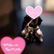 ヒメ日記 2025/12/08 09:27 投稿 つばき One More 奥様　五反田店