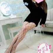 ヒメ日記 2026/02/02 08:37 投稿 つばき One More 奥様　五反田店