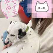 ヒメ日記 2026/02/20 00:09 投稿 つばき One More 奥様　五反田店