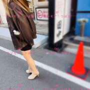 ヒメ日記 2026/03/12 12:17 投稿 つばき One More 奥様　五反田店