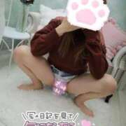 ヒメ日記 2026/05/17 13:27 投稿 つばき One More 奥様　五反田店