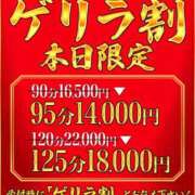 ヒメ日記 2026/06/12 12:20 投稿 つばき One More 奥様　五反田店