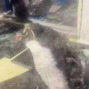 ヒメ日記 2025/10/15 21:10 投稿 水口まいか 池袋パラダイス