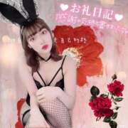 ヒメ日記 2025/09/27 11:39 投稿 水瀬 かれん カサノヴァ