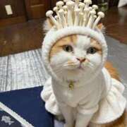 ヒメ日記 2025/12/28 23:35 投稿 村川みらい 皇帝別館（こうていべっかん）