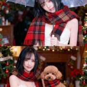 ヒメ日記 2025/12/31 17:09 投稿 村川みらい 皇帝別館（こうていべっかん）