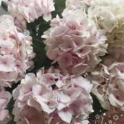 ヒメ日記 2025/07/19 19:43 投稿 よしみ 千葉人妻花壇