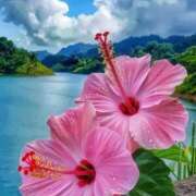 ヒメ日記 2025/07/22 08:09 投稿 よしみ 千葉人妻花壇