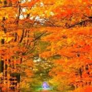 ヒメ日記 2025/10/01 10:15 投稿 よしみ 千葉人妻花壇