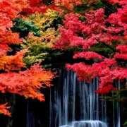 ヒメ日記 2025/10/03 10:23 投稿 よしみ 千葉人妻花壇