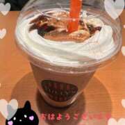 ヒメ日記 2025/12/20 15:25 投稿 よしみ 千葉人妻花壇