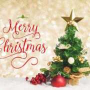 ヒメ日記 2025/12/24 09:20 投稿 よしみ 千葉人妻花壇