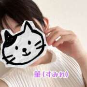 ヒメ日記 2025/06/06 09:07 投稿 菫（すみれ） 丸妻 錦糸町店