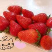 ヒメ日記 2026/02/19 20:45 投稿 菫（すみれ） 丸妻 錦糸町店