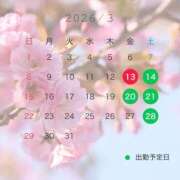 ヒメ日記 2026/03/05 17:08 投稿 石川きょうこ 恋する妻たち