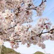 ヒメ日記 2026/03/28 09:58 投稿 石川きょうこ 恋する妻たち