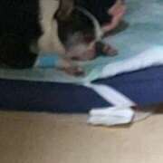 ヒメ日記 2025/08/13 11:43 投稿 武田 陽子 熟女パラダイス鶯谷店(カサブランカグループ)