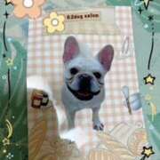 ヒメ日記 2025/09/29 18:51 投稿 武田 陽子 熟女パラダイス鶯谷店(カサブランカグループ)