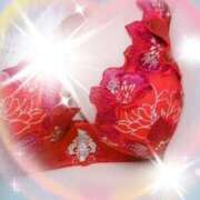 ヒメ日記 2025/12/19 11:55 投稿 武田 陽子 熟女パラダイス鶯谷店(カサブランカグループ)