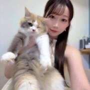 ヒメ日記 2025/08/18 04:45 投稿 しゅり Gossip girl