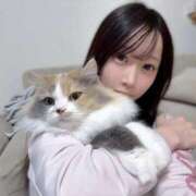 ヒメ日記 2025/12/03 00:54 投稿 しゅり Gossip girl