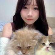 ヒメ日記 2025/12/18 08:00 投稿 しゅり Gossip girl