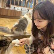 しゅり 完売(;_;) Gossip girl