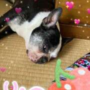 ヒメ日記 2025/08/12 07:57 投稿 しおりさん 鶯谷のデリヘル桃山