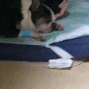 ヒメ日記 2025/08/13 11:54 投稿 しおりさん 鶯谷のデリヘル桃山