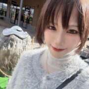 平手しほり ドラクエ好き😘 Dolce～ドルチェ～