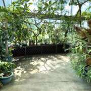 ヒメ日記 2025/06/05 15:16 投稿 如月つかさ セレブショップ新宿（東京ハレ系）