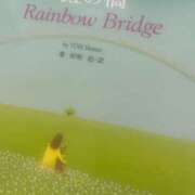 ヒメ日記 2025/06/25 22:12 投稿 まりん 新橋・汐留人妻ヒットパレード（シンデレラグループ）