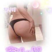 ヒメ日記 2025/11/17 10:11 投稿 早川(ﾊﾔｶﾜ) 小山人妻城