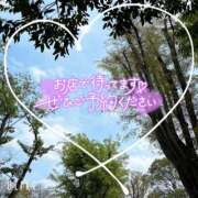 ヒメ日記 2026/04/14 11:40 投稿 早川(ﾊﾔｶﾜ) 小山人妻城