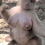 ヒメ日記 2025/09/21 14:30 投稿 三浦まみこ 五十路マダム 新潟店(カサブランカグループ)