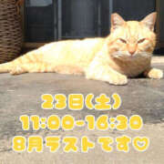 ヒメ日記 2025/08/22 15:00 投稿 ゆうり WHITE(ホワイト)